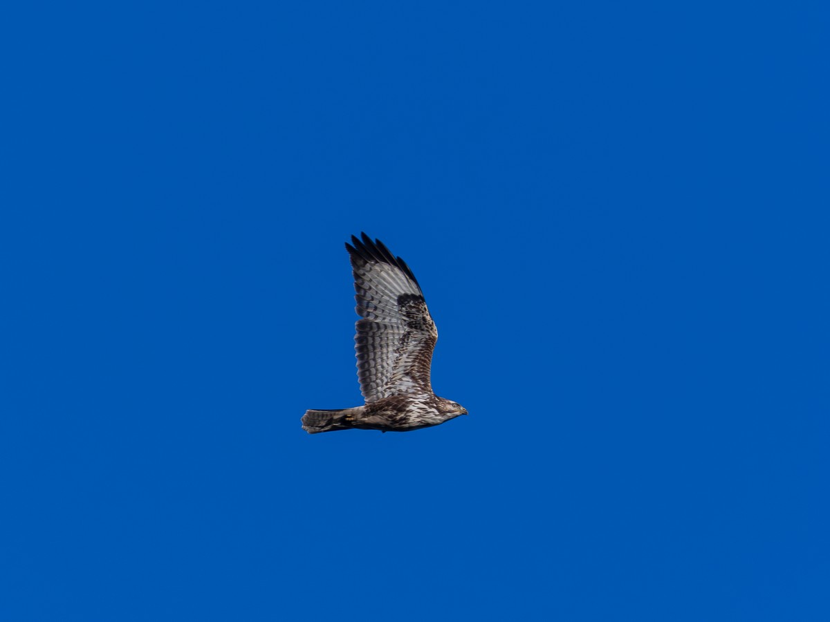 12122025-12 12 2025 (2).jpg